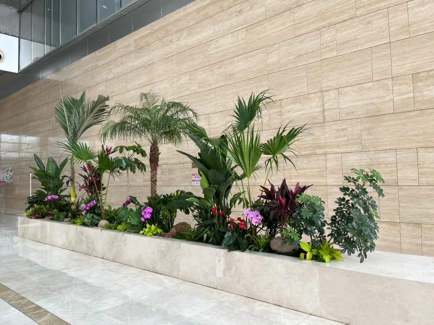 宁波余姚专业盆景出租，开启绿色租赁之旅